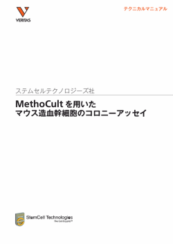 MlethoCultを用いた マウス造血幹細胞のコロニーアッセイ
