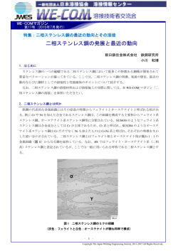 1. 二相ステンレス鋼の発展と最近の動向