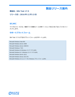 Silk Test 17.5 詳細