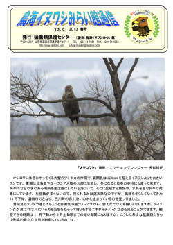 Vol．6 2013 春号 オジロワシは冬にやってくる大型のワシタカの仲間で