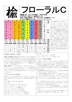 競馬新聞「楡」 - 北海道大学競馬サークルHomeStretch