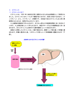 4．ビタミンK 1）ビタミンKとは？ ビタミンKは、1929 年に血液を正常に