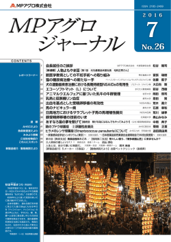 pdfファイル（13.4MB）