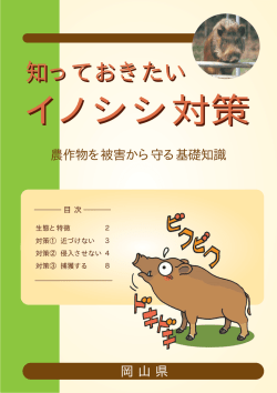 知っておきたいイノシシ対策