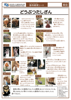 どうぶつたしざん解説