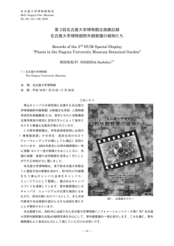 PDF（162KB）