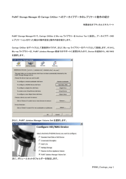 PoINT Storage Manager の Caringo CAStor へのアーカイブデータの