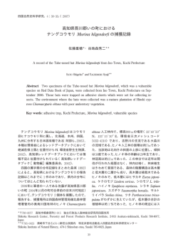 高知県吾川郡いの町における テングコウモリ の捕獲記録