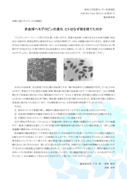 赤血球ヘモグロビンの進化；ヒトはなぜ核を捨てたのか