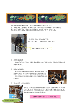 講義中も静かに待っている犬たちです。 年度後半の動物愛護教室が