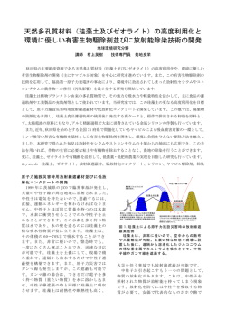 研究内容詳細 （PDF