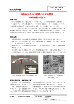 樹脂材料の特性可視化技術の開発
