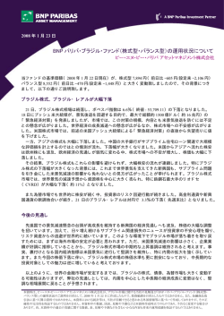 BNP パリバ・ブラジル・ファンド（株式型・バランス型）の運用