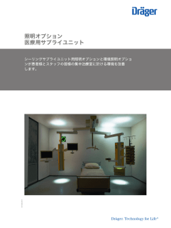 照明オプション