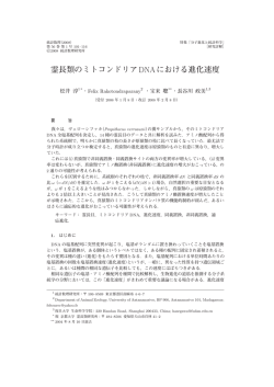 回路マダガスカル