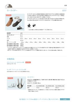 ローライダー 1E57 交換部品
