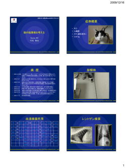 ID： 02053（090603） イヌで後肢のふらつきが認められた症例