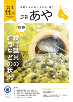2016年11月