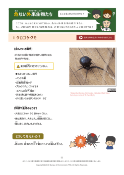 このページをダウンロード