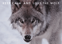 Untitled - カーポス工作所