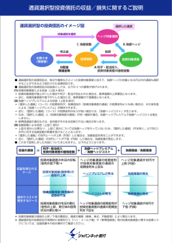通貨選択型投資信託の収益／損失に関するご説明（266KB）