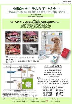 PowerPoint プレゼンテーション