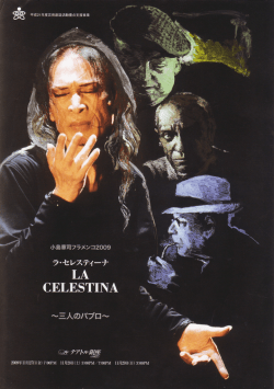 Untitled - 小島章司フラメンコ舞踊団