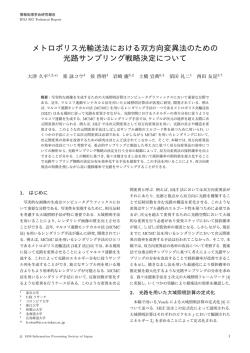 メトロポリス光輸送法における双方向変異法のための 光路サンプリング