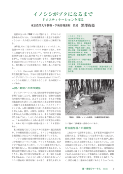 イノシシがブタになるまで