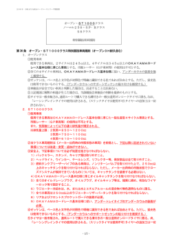 17 - オープン・ST1000クラス ノーマル250・SP&minus;R