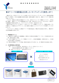 記者発表資料（PDF形式 245KB）