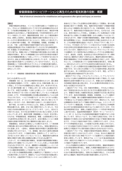 脊髄損傷後のリハビリテーションと再生のための電気刺激の役割 ：概要