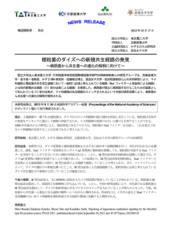 根粒菌のダイズへの新規共生経路の発見