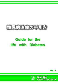 糖尿病治療の手引き(第3版)
