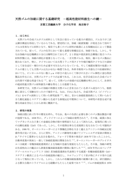 天然ゴムの加硫に関する基礎研究 －超高性能材料創生への鍵－
