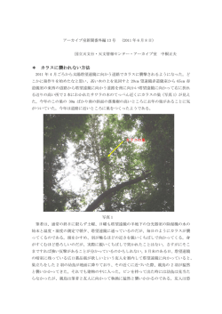 カラスに襲われない方法 - 国立天文台 天文情報センター