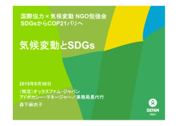 資料（PDF） - 国際環境NGO FoE Japan