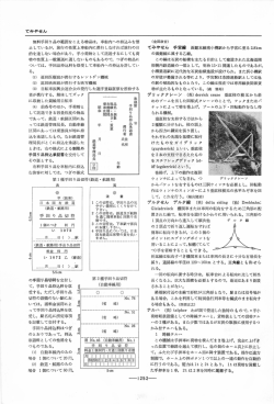 PDF表示