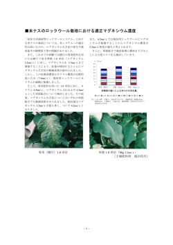 米ナスのロックウール栽培における適正マグネシウム濃度