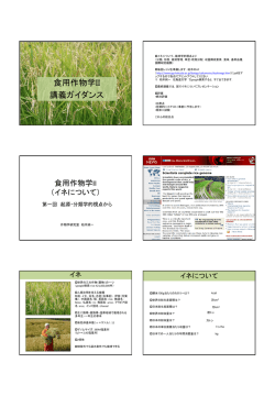 第1回 - 北海道大学