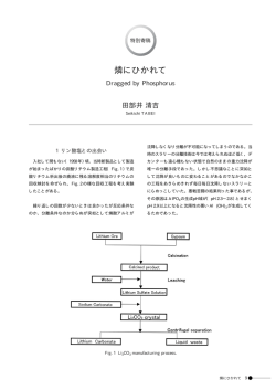 燐にひかれて - 日本化学工業株式会社