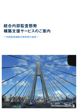 統合内部監査態勢 構築支援サービスのご案内