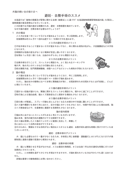 猫の雌犬