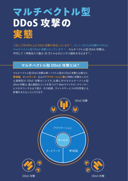 マルチベクトル型 DDoS 攻撃の 実態