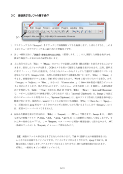 ImageJマニュアル＋画像処理入門編＜実習書抜粋