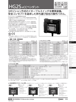 HG2S 形CCペンダント