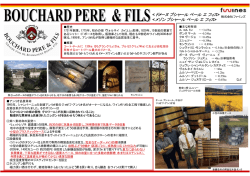 PowerPoint プレゼンテーション