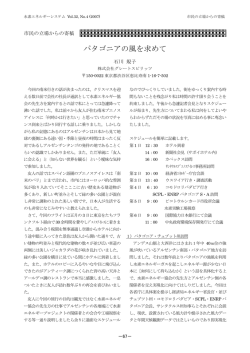 パタゴニアの風を求めて - 一般社団法人 水素エネルギー協会 HESS