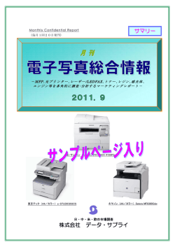 株式会社 データ・サプライ サマリー