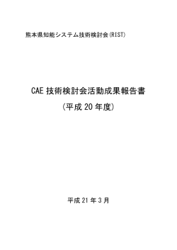 CAE 技術検討会活動成果報告書 (平成 20 年度) - RIST